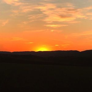 Meet your Posher, Sadie